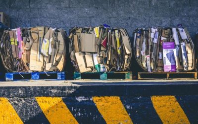 How to Reduce Packaging Waste and Save Costs as an Entrepreneur?